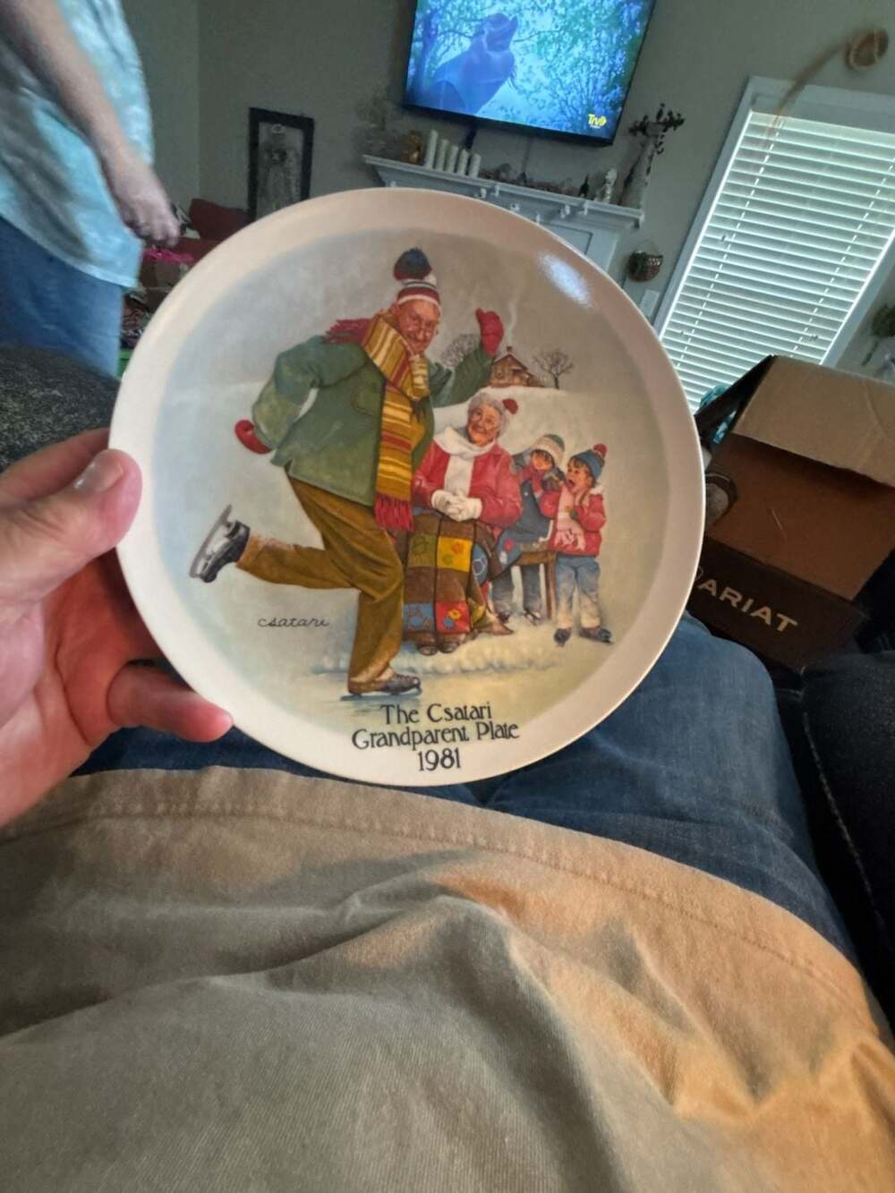 Edwin M. Knowles 'The Skating Lesson' 1981 Limited Edition Collector Plate by Jo